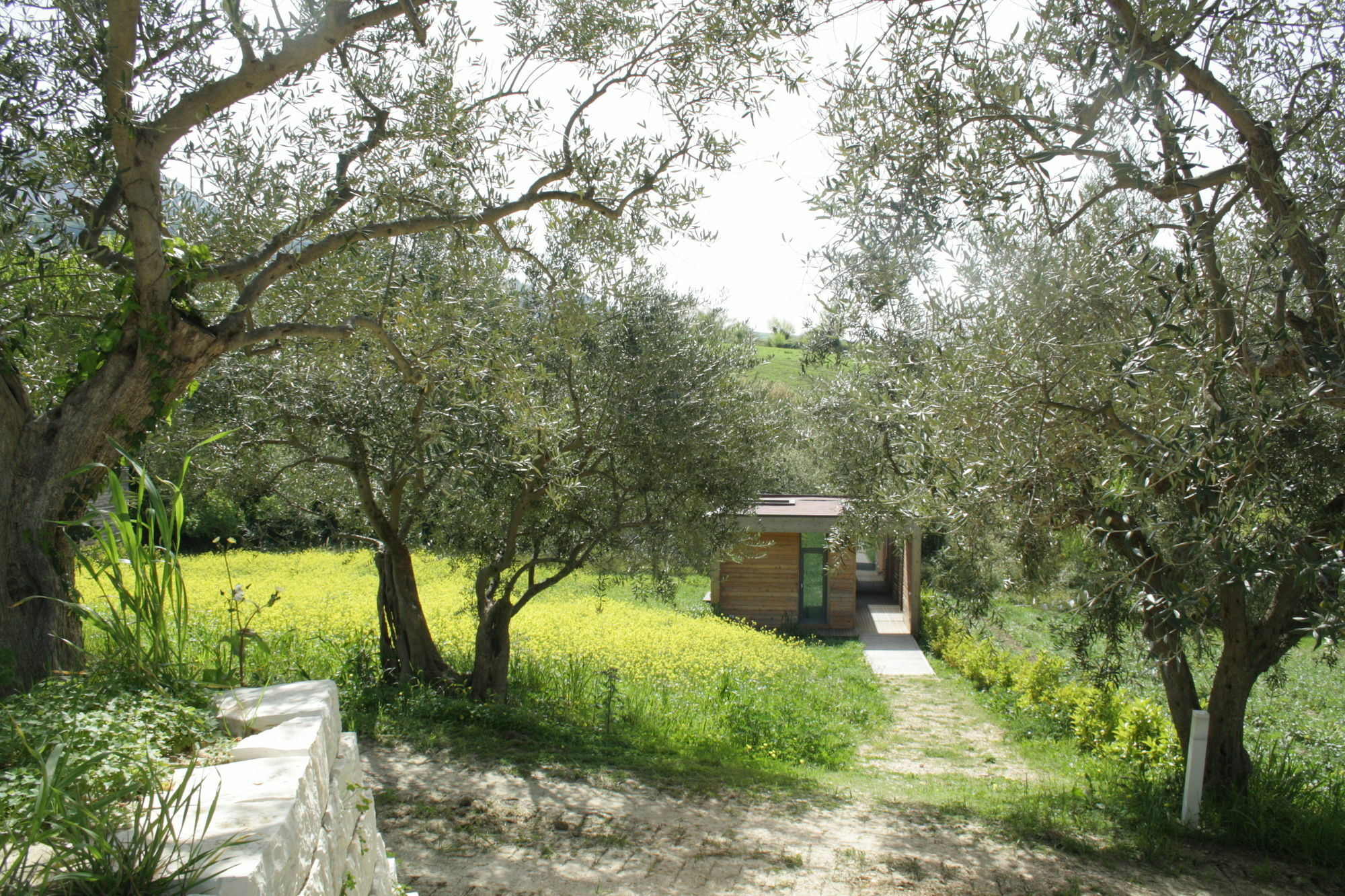 Villa Il Bevaio Di Corleone Exterior foto